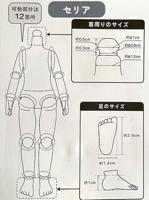 サイズ｜100均ドールボディ19センチ　ダイソー・セリアを比較