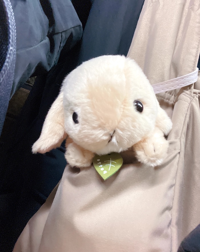 バッグに入ったpotte ロップイヤーのぬいぐるみがこちらを向いている