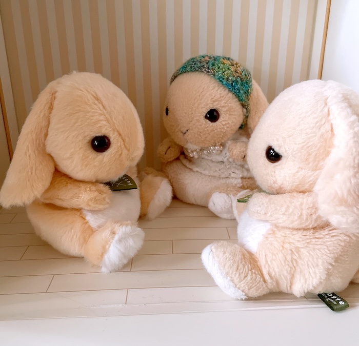 3匹のpotte ロップイヤーのぬいぐるみが向かい合って座っている