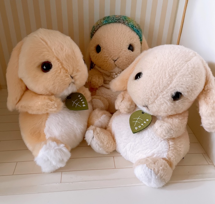 3匹のpotte ロップイヤーのぬいぐるみがこちらを向いている