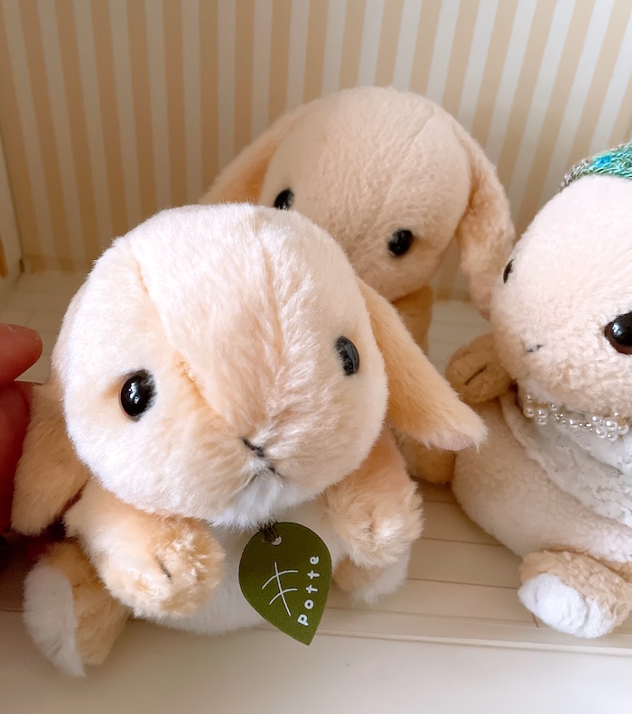 potte ロップイヤーのぬいぐるみがこちらを向いている