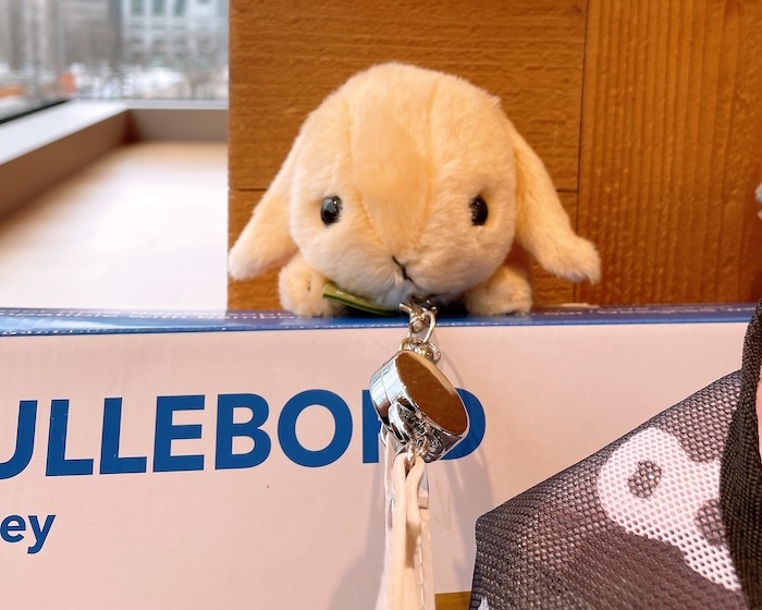 ひょっこり顔を覗かせるうさぎのぬいぐるみ(首にリール付き)