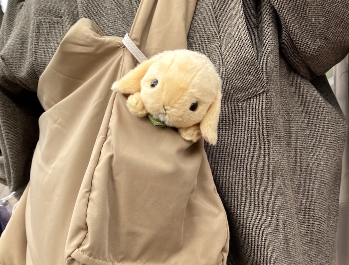 バッグのポケットをぬいの専用スペースに