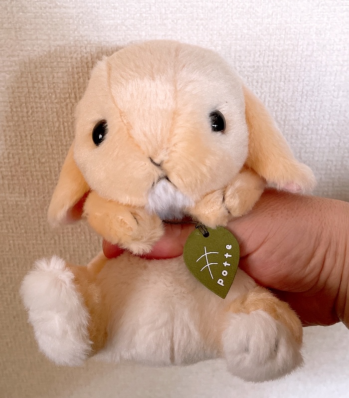 Potteロップイヤー　お腹は片手てつまめるサイズ