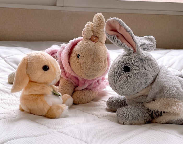 ぬいぐるみ。Potteロップイヤーと、ひざうさぎ