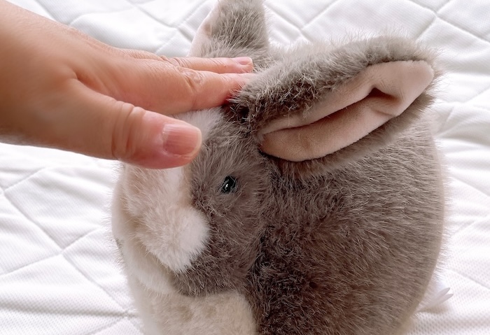 もふもふのうさぎのぬいぐるみを手で撫でている